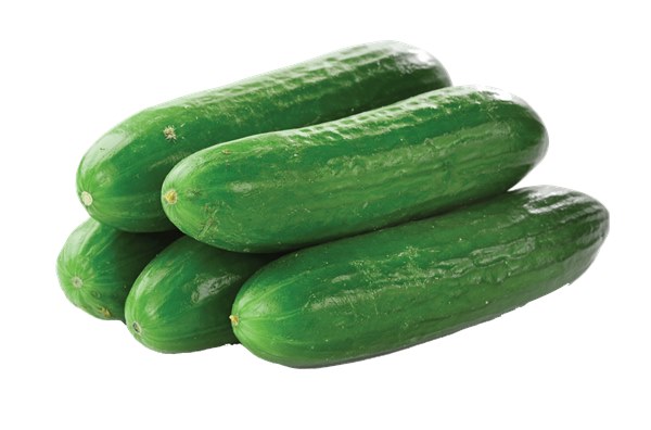 Cucumber