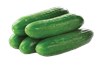Cucumber